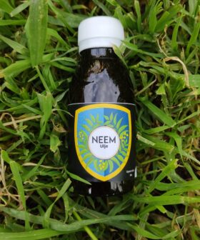 Neem ulje - Hladno Ceđeno ulje Nima