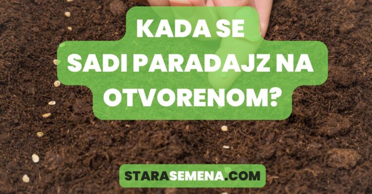 Kada se sadi paradajz na otvorenom