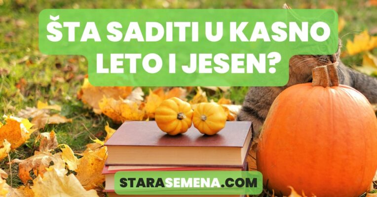 šta saditi u kasno leto i jesen