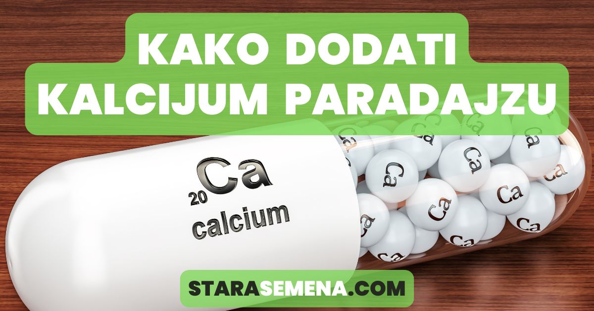 Kako dodati kalcijum paradajzu i paprici - Koraci za zdrav prinos