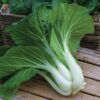 bok choy