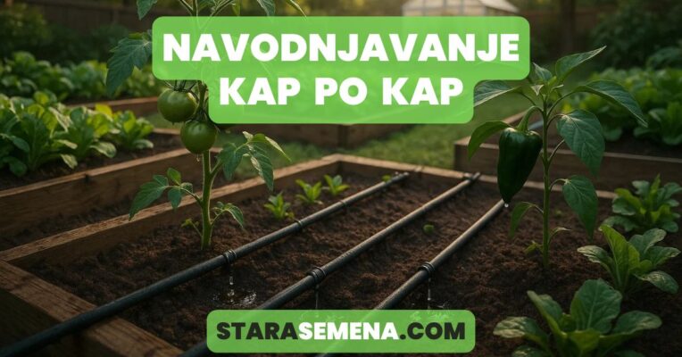 navodnjavanje kap po kap sistem