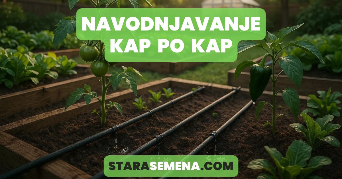 navodnjavanje kap po kap sistem