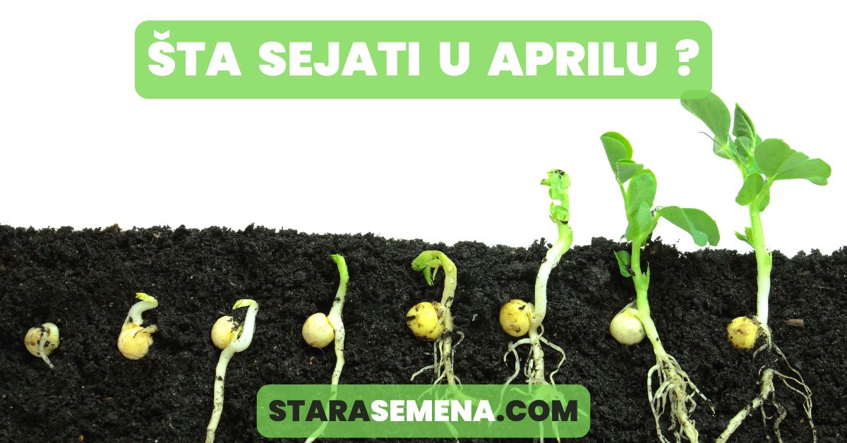 sta saditi u aprilu