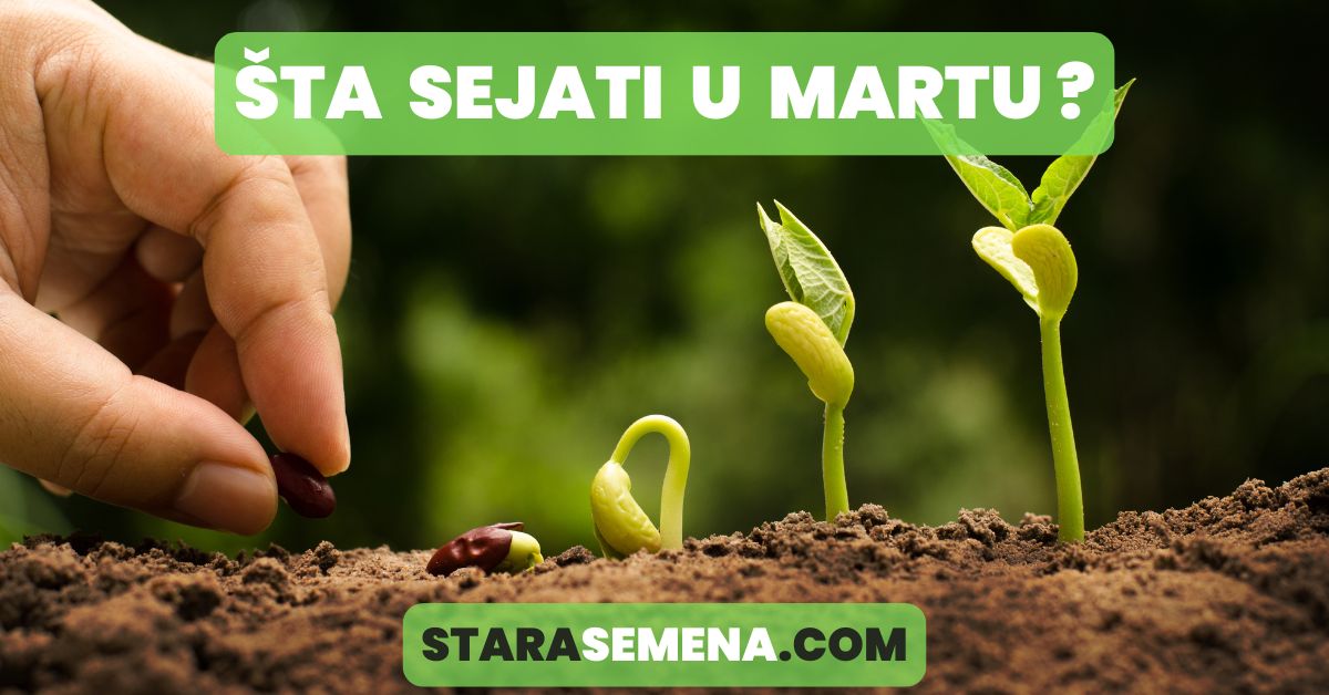 sta sejati u martu