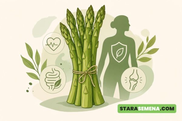 Ilustracija: svežanj zelene špargle pored silhuete čoveka i znakova za srce, varenje i zglobove